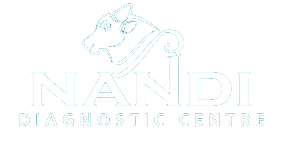 Nandi Scans & Diagnostics